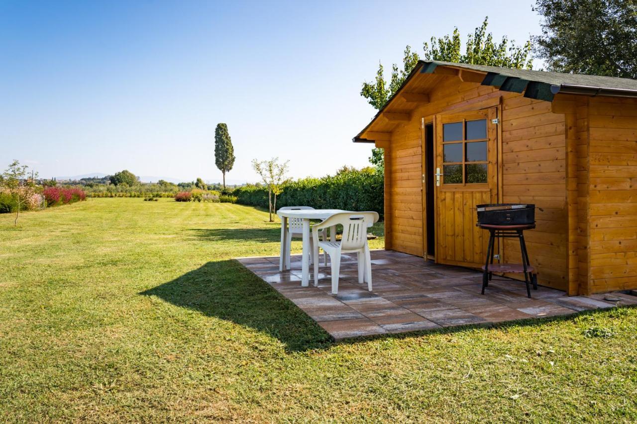 Borgo Terrosi Bed & Breakfast Sinalunga Exterior foto